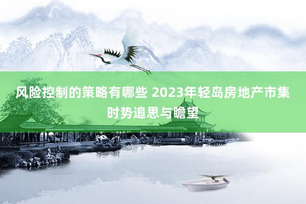 风险控制的策略有哪些 2023年轻岛房地产市集时势追思与瞻望