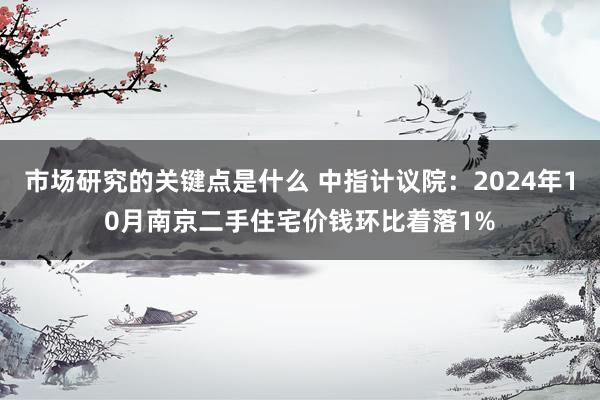 市场研究的关键点是什么 中指计议院：2024年10月南京二手住宅价钱环比着落1%