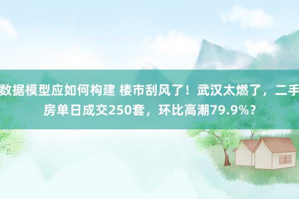 数据模型应如何构建 楼市刮风了！武汉太燃了，二手房单日成交250套，环比高潮79.9%？