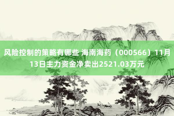 风险控制的策略有哪些 海南海药（000566）11月13日主力资金净卖出2521.03万元