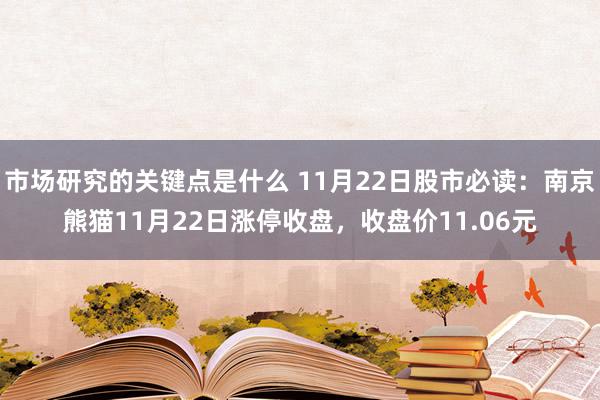 市场研究的关键点是什么 11月22日股市必读：南京熊猫11月22日涨停收盘，收盘价11.06元