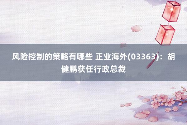 风险控制的策略有哪些 正业海外(03363)：胡健鹏获任行政总裁