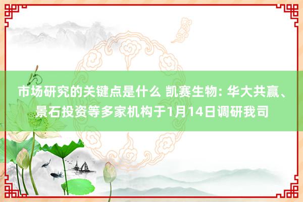 市场研究的关键点是什么 凯赛生物: 华大共赢、景石投资等多家机构于1月14日调研我司