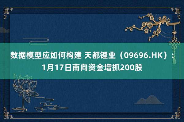 数据模型应如何构建 天都锂业（09696.HK）：1月17日南向资金增抓200股