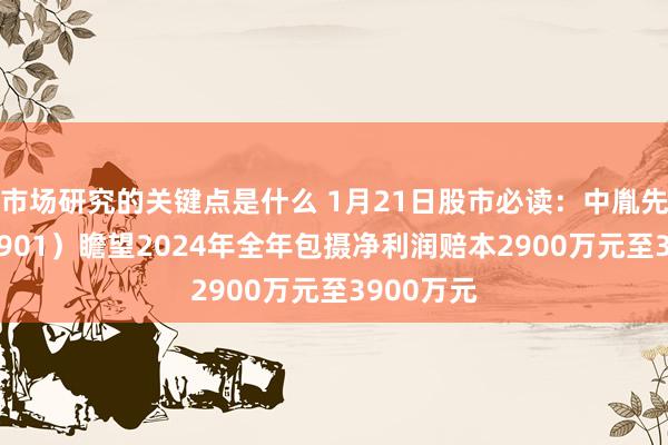 市场研究的关键点是什么 1月21日股市必读：中胤先锋（300901）瞻望2024年全年包摄净利润赔本2900万元至3900万元