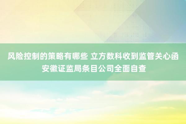 风险控制的策略有哪些 立方数科收到监管关心函 安徽证监局条目公司全面自查