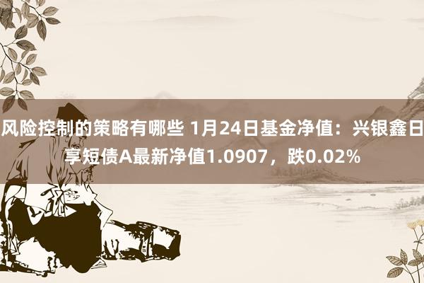 风险控制的策略有哪些 1月24日基金净值：兴银鑫日享短债A最新净值1.0907，跌0.02%