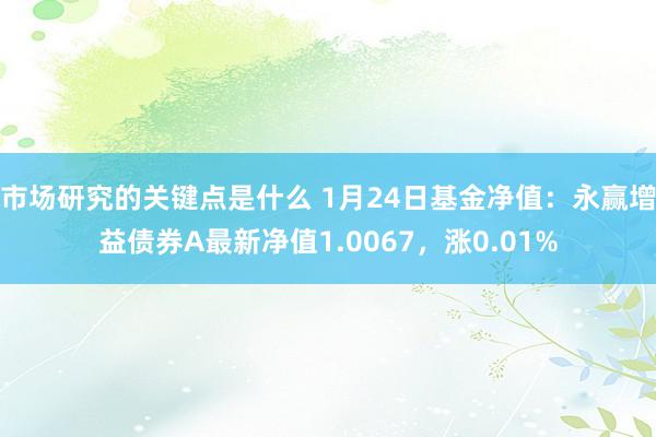 市场研究的关键点是什么 1月24日基金净值：永赢增益债券A最新净值1.0067，涨0.01%