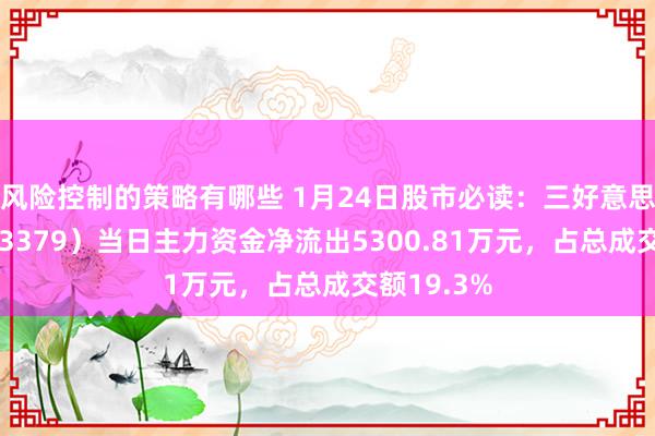 风险控制的策略有哪些 1月24日股市必读：三好意思股份（603379）当日主力资金净流出5300.81万元，占总成交额19.3%