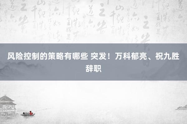 风险控制的策略有哪些 突发！万科郁亮、祝九胜辞职