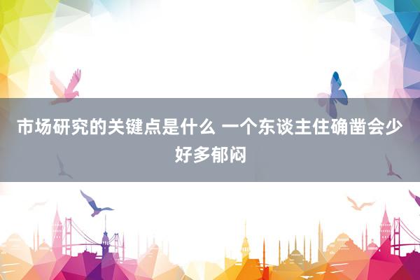 市场研究的关键点是什么 一个东谈主住确凿会少好多郁闷