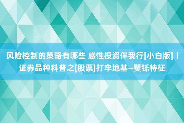 风险控制的策略有哪些 感性投资伴我行[小白版]丨证券品种科普之[股票]打牢地基—矍铄特征