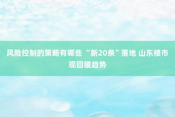 风险控制的策略有哪些 “新20条”落地 山东楼市现回暖趋势