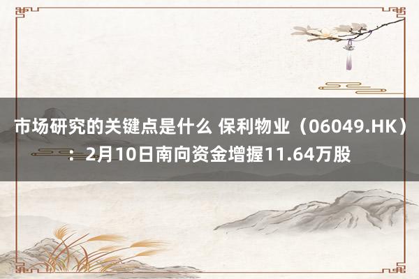 市场研究的关键点是什么 保利物业（06049.HK）：2月10日南向资金增握11.64万股