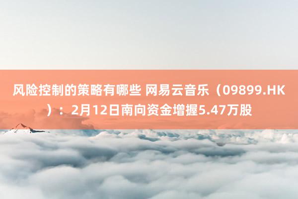 风险控制的策略有哪些 网易云音乐（09899.HK）：2月12日南向资金增握5.47万股