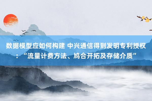 数据模型应如何构建 中兴通信得到发明专利授权：“流量计费方法、鸠合开拓及存储介质”