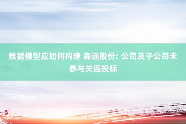 数据模型应如何构建 森远股份: 公司及子公司未参与关连投标