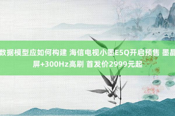 数据模型应如何构建 海信电视小墨E5Q开启预售 墨晶屏+300Hz高刷 首发价2999元起