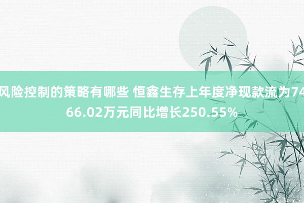 风险控制的策略有哪些 恒鑫生存上年度净现款流为7466.02万元同比增长250.55%