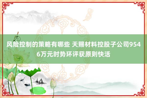 风险控制的策略有哪些 天赐材料控股子公司9546万元时势环评获原则快活