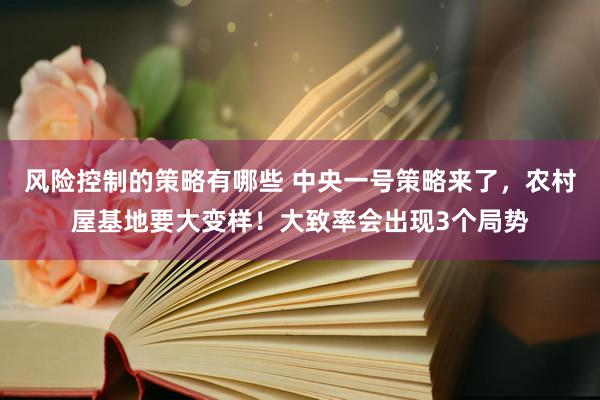 风险控制的策略有哪些 中央一号策略来了，农村屋基地要大变样！大致率会出现3个局势